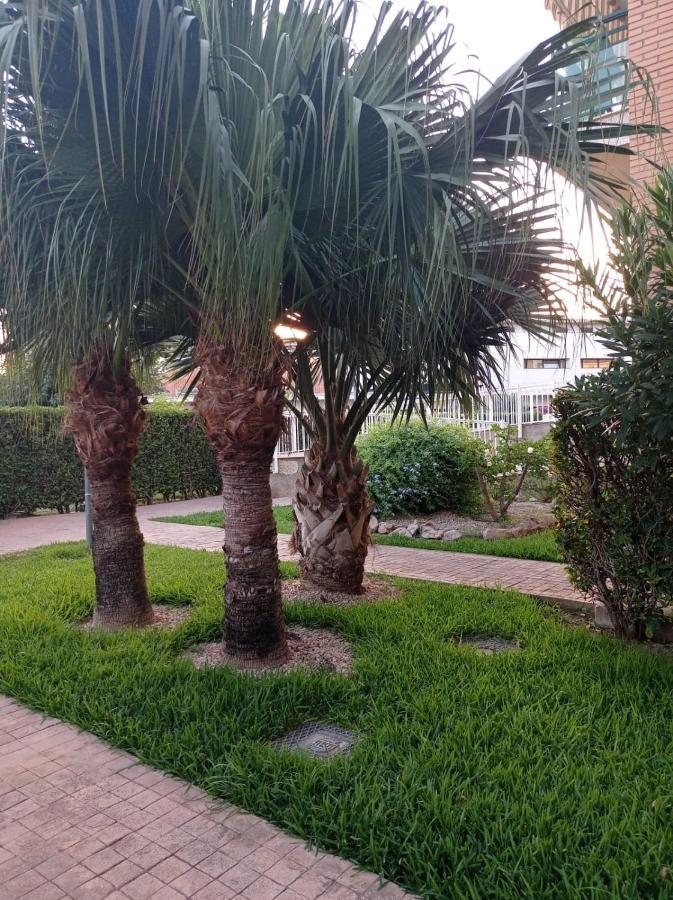Apartamento Pilar Gandía Exterior foto